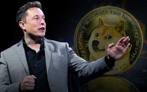 Elon Musk is accused of of Dogecoin manipulation